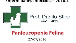 Infecciosas 20161 Aula 04  Panleucopenia Felina FPL [upl. by Mylor957]