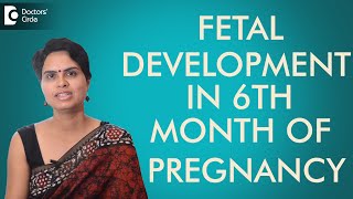 6th Month  Fetal development in sixth month of pregnancy Dr Shefali Tyagi [upl. by Diandra320]