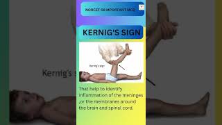 Kernigs Sign Norcet 08 Image Base Question ytshorts [upl. by Ecirtnuahs790]