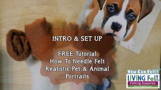 How to Needle Felt a Realistic Pet Portrait Tutorial Intro amp Set Up [upl. by Lyrahc]