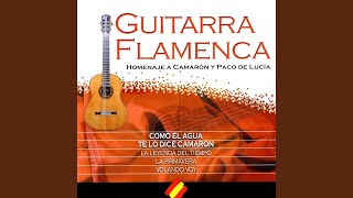 Rosa María Popular By Camarón De La Isla Flamenco Guitar Version [upl. by Haliled441]