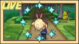 ISHC 5 LIVE 2 in 1 DAY 56 Shiny Sentret After ONLY 75 REs X [upl. by Meadow]