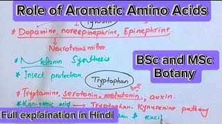 Role of aromatic amino acidsTyrosinePhenylalaninetryptophanPlant metabolismBsc and MSc botany [upl. by Antony]