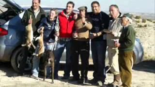 GALGOS y GALGUEROS EN TEMBLEQUE [upl. by Libbey310]