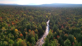 Fly Fishing The MOST REMOTE River In NY  BrookBrown Trout [upl. by Hiasi979]