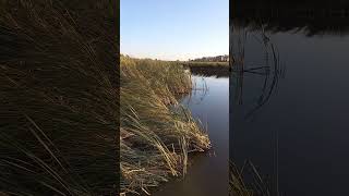 Ardoch Wildlife Refuge  North Dakota USA [upl. by Lhadnek]