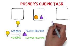 Posners cueing task  MinsEducation [upl. by Mill]