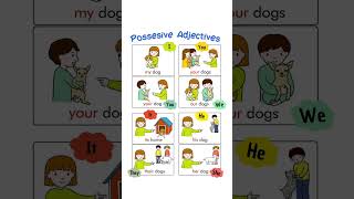 Possessive adjectives english vocabulary learnenglish shortsvideo learning [upl. by Nylirem58]