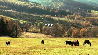 Nowy Gierałtów  W dolinie Białej Lądeckiej [upl. by Dierdre861]