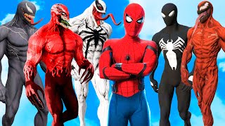 Spiderman vs Venom vs Carnage vs Anti Venom vs Toxin  Epic Simbiotes battle Multiverse of Madness [upl. by Etienne]