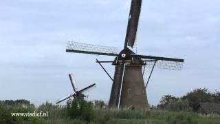 Nederwaard Molen No 4 met draaiende wieken [upl. by Naimaj605]