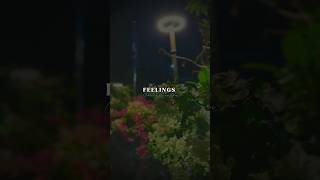 Feelings  Garry Sandhu  Lyrics WhatsApp status  Fullscreen Status  trend shorts [upl. by Bael599]