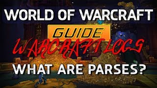 World Of Warcraft Guide  What are quotparsesquot aka WarcraftLogs scores [upl. by Nilre501]