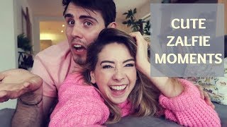 Cute Zalfie moments [upl. by Aneer]