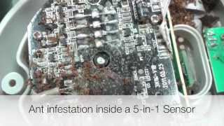 AcuRite 5in1 Sensor Maintenance [upl. by Lenroc]