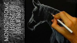 Monochrome Horse Drawing [upl. by Bridget]