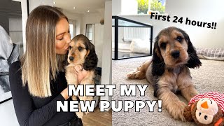 PICKING UP MY NEW COCKER SPANIEL PUPPY FIRST 24 HOURS  vlog [upl. by Beverlie]