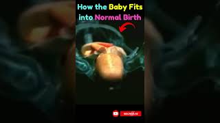 🤰The Miracle of Life❤️The Baby Fitting into the Pelvic Cavity during Normal Delivery NaturalBirth [upl. by Lewert899]