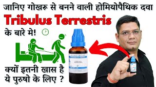 All Detailed about Homeopathic Medicine Tribulus Terrestris for Mens  Dr Sunil Patidar [upl. by Analat]