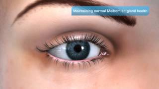 Importance of Meibomian Gland Health [upl. by Rahm]