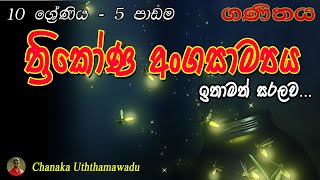 maths  grade 10  5 th lesson  ත්‍රිකෝණ අංගසාම්‍යය [upl. by Ahsenhoj]