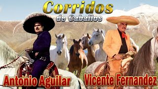 VICENTE FERNANDEZ Y ANTONIO AGUILAR CORRIDOS DE CABALLOS FAMOSOS  RANCHERAS Y CORRIDOS [upl. by Aiuqet]