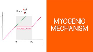 27 Renal Myogenic Mechanism [upl. by Sremlahc]