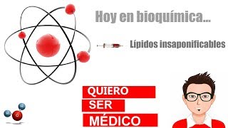 LIPIDOS INSAPONIFICABLES Terpenos esteroides eicosanoides y vitaminas liposolubles [upl. by Madra]