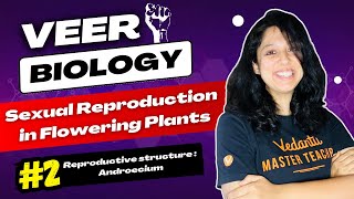 The Pistil Megasporangium Ovule and Embryo sac  CBSE Class 11 Biology  VEER Batch NEET Biology [upl. by Aliahs]