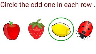 Circle the odd one in each row LKG Science [upl. by Netsrak]