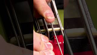 Bass Setup Secrets Revealed [upl. by Hultgren846]