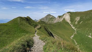 Sörenberg Schönenboden  Eisee  Arnihaaggen  Höch Gumme  Turren Lungern  5 Aug 2024 [upl. by Arima362]