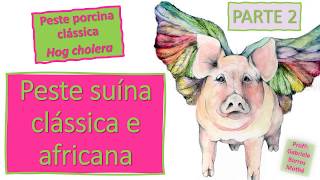 PESTE SUÍNA CLÁSSICA E AFRICANA  parte 2 medicina veterinária [upl. by Herwin]