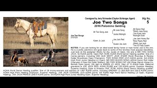 Pitzer Ranch Spring Sale 2024 Lot 5 JOE TWO SONGS [upl. by Rahab532]