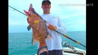 How to catch Gulf of Mexico mangrove snapper [upl. by Bear]