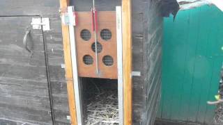 light controlled chicken coop door [upl. by Irfan]