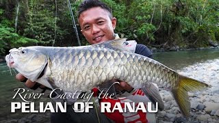 River Casting the Pelian Of Ranau Sabah featuring Rapala CountDown Abachi [upl. by Awahsoj]