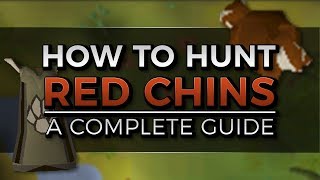 Complete Red Chinchompa Hunting Guide  Locations Trap setup and 3t Hunter  Oldschool Runescape [upl. by Notsrik]