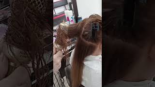 quotCómo Teñir Raíces de Canas Paso a Paso  Técnica Profesionalquot hair belleza tintes [upl. by Ttsepmet949]