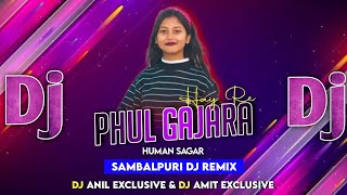 Hay Re Phul Gajara  Human Sagar amp Nisha Suna  New Sambalpuri Dj Song  Dj Anil amp Dj Amit [upl. by Michaella]