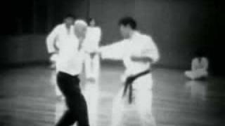 Taikiken Yi Quan Documentary [upl. by Coben]