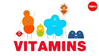 How do vitamins work  Ginnie Trinh Nguyen [upl. by Gaul]