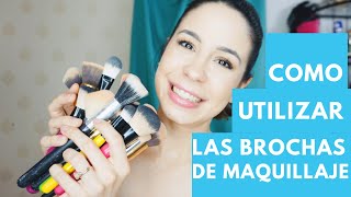 Como Usar Brochas de Maquillaje  Para Que Sirve Cada Brocha  Facil Para Principiantes [upl. by Rammaj]