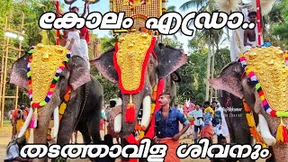 കോലം എഡ്രാ🔥  കൊമാക്കായും  Thadathavila Sivan [upl. by Wittie378]