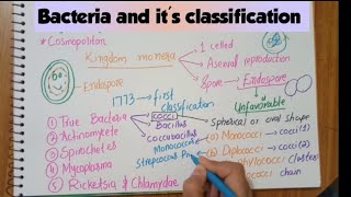 Classification of bacteria on the basis of morphologyStructureFull explaination [upl. by Sheila]