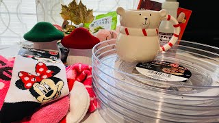 DOLLAR TREE HAUL NEW ITEMS [upl. by Rodrigo]