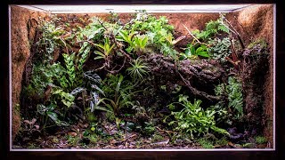 My 180 Gallon Vivarium is Taking Shape [upl. by Akcire]