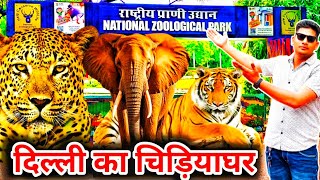 Delhi Zoo Tour 2024  Delhi Zoo All Animals  दिल्ली चिड़ियाघर  Online Ticket Booking [upl. by Essinger]