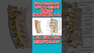 【臨床で使える画像読影①～椎間関節機能を読む！〜】リハビリ レントゲン 運動療法 脊柱 椎間関節 理学療法士 関節 背骨 セラピスト 柔道整復師 鍼灸師 切り抜き 整形外科 [upl. by Verada257]