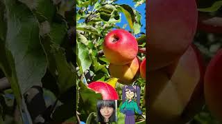 Apple health benefits [upl. by Gnet58]